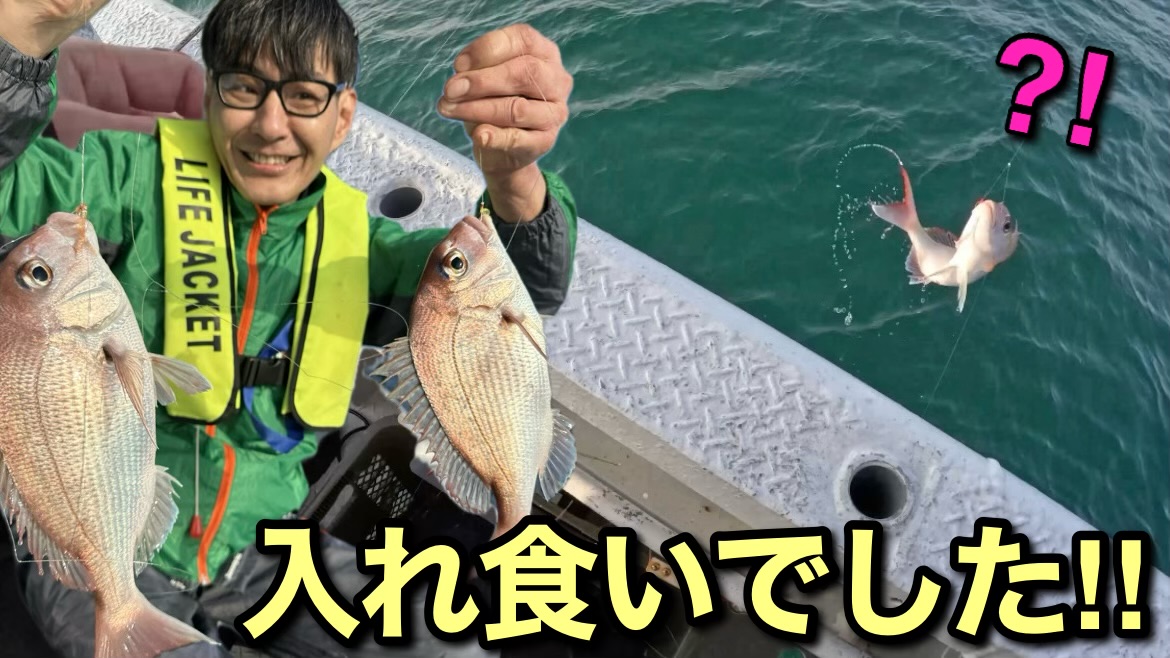 鳴門海峡真鯛サビキ、入れ食いでした！！【兵庫県 淡路島釣り船くにうみ丸】