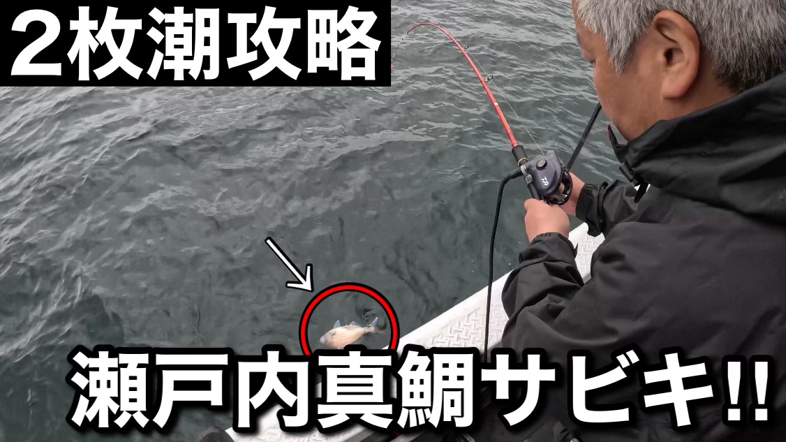 瀬戸内真鯛サビキ『2枚潮』の中、果たして真鯛は釣れるのか⁉️【淡路島 釣り船くにうみ丸】